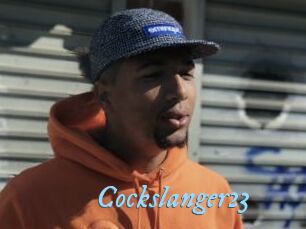Cockslanger23
