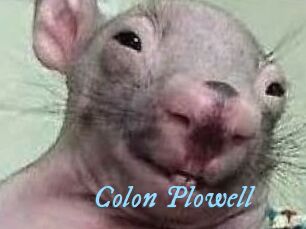 Colon_Plowell