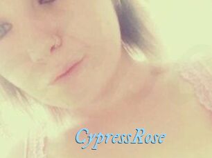 Cypress_Rose