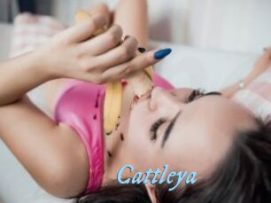 _Cattleya