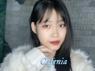cafenia DeriheruI