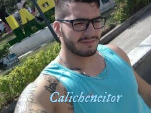 Calicheneitor