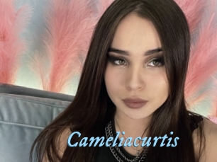 Cameliacurtis