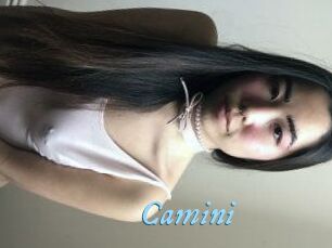 Camini