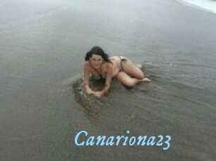 Canariona23