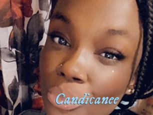 Candicanee