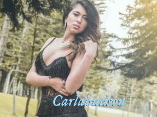 Carlahudson
