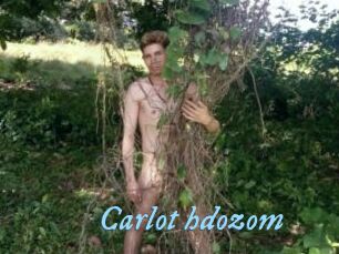 Carlot_hdozom