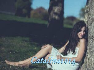 Catalina1014