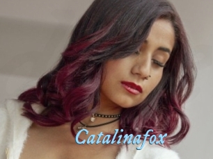 Catalinafox