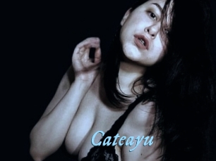 Cateayu