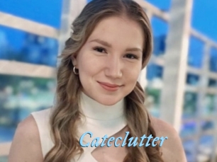 Cateclutter