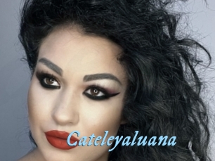 Cateleyaluana