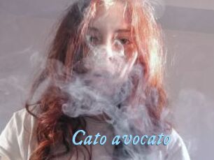 Cato_avocato