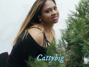 Cattybig