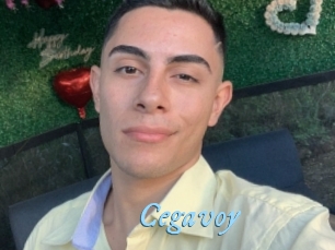 Cegavoy