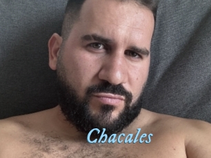 Chacales