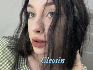 Cleosin