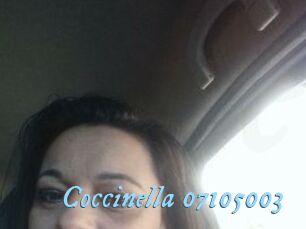 Coccinella-07105003