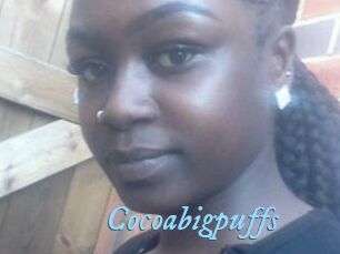 Cocoabigpuffs