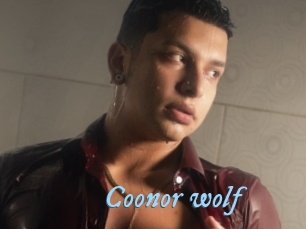 Coonor_wolf