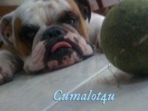 Cumalot4u