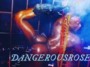 DANGEROUSROSE