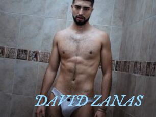DAVID_ZANAS