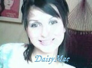 Daisy_Mae