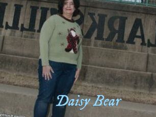 Daisy_Bear
