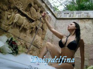 Daisydelfina