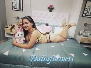 Daliaflowers