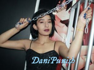 DaniPunish