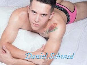 Daniel_Schmid