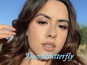 DasiyButterfly