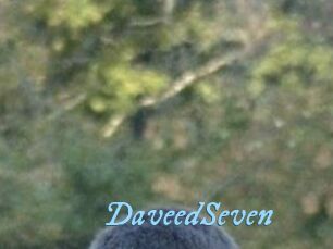 DaveedSeven