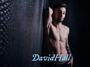 DavidHall DeriheruI