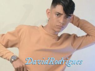 DavidRodrigues