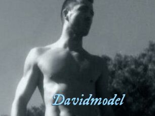 Davidmodel