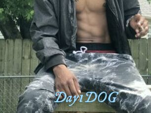 Day1DOG