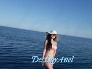 DestinyAnel