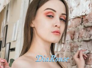 DiaRouse