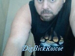 DigBickRoscoe