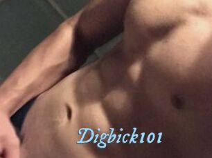 Digbick101
