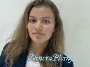 DineraPleiny