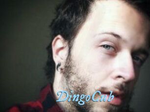 DingoCub