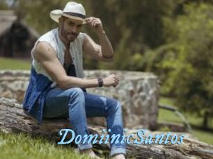 DomiinicSantos