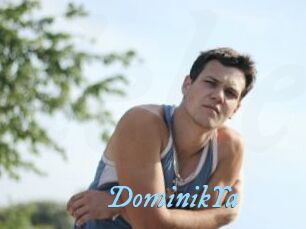 DominikYa