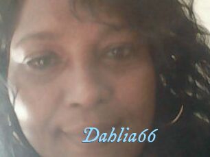 Dahlia66