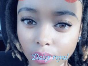 Daisy_royal